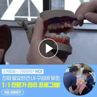 광고 콘텐츠 변인 테스트 예시 3 — 1:1 전문가 관리 프로그램 소개